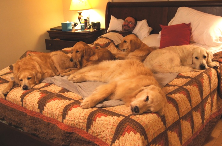 this_is_what_it_means_when_dogs_do_certain_things_2