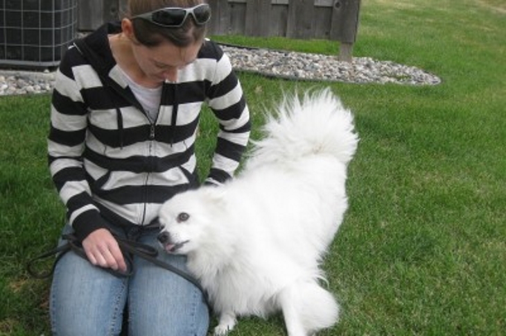 this_is_what_it_means_when_dogs_do_certain_things_7